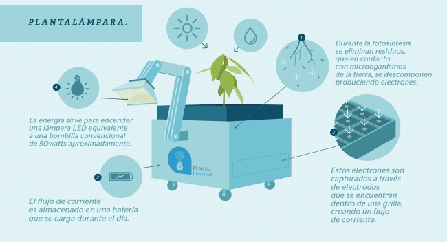 Infografik zur Funktionsweise der Pflanzenlampe